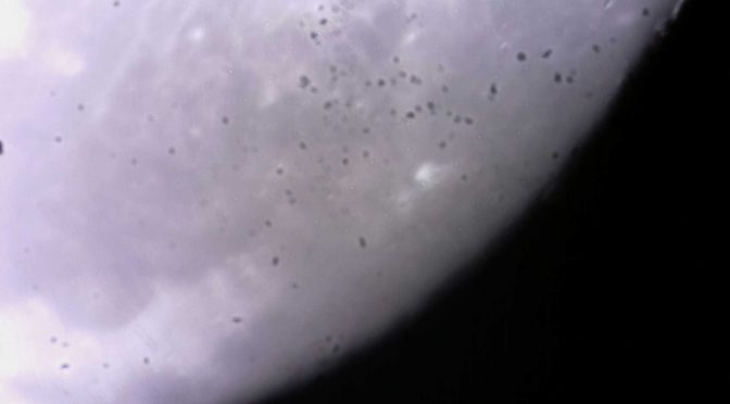 Photo de lune prise par L'Astronomie de A à Z